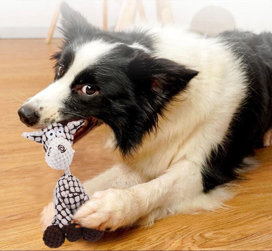 Plush Sound Toy