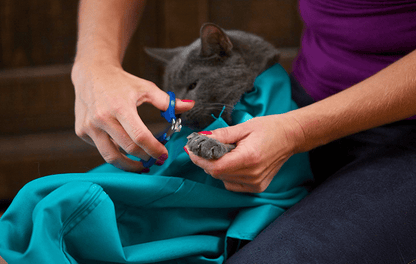 ✨Summer Hot Sale 45% OFF - Cat Carry Pouch