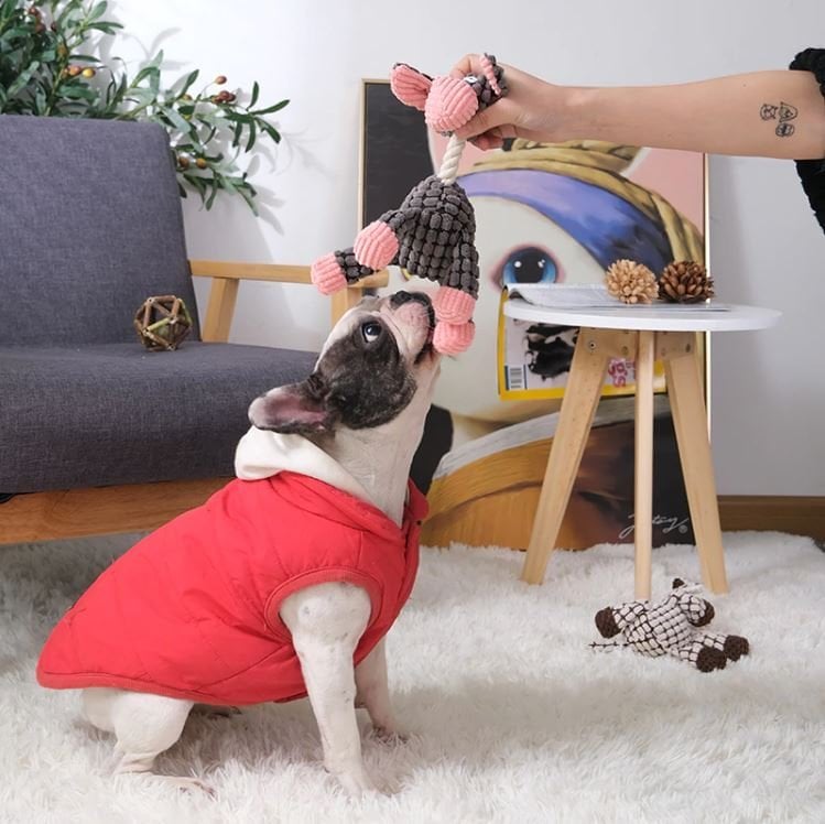Plush Sound Toy