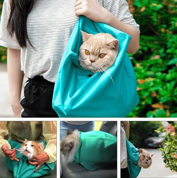 ✨Summer Hot Sale 45% OFF - Cat Carry Pouch