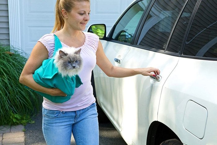 ✨Summer Hot Sale 45% OFF - Cat Carry Pouch
